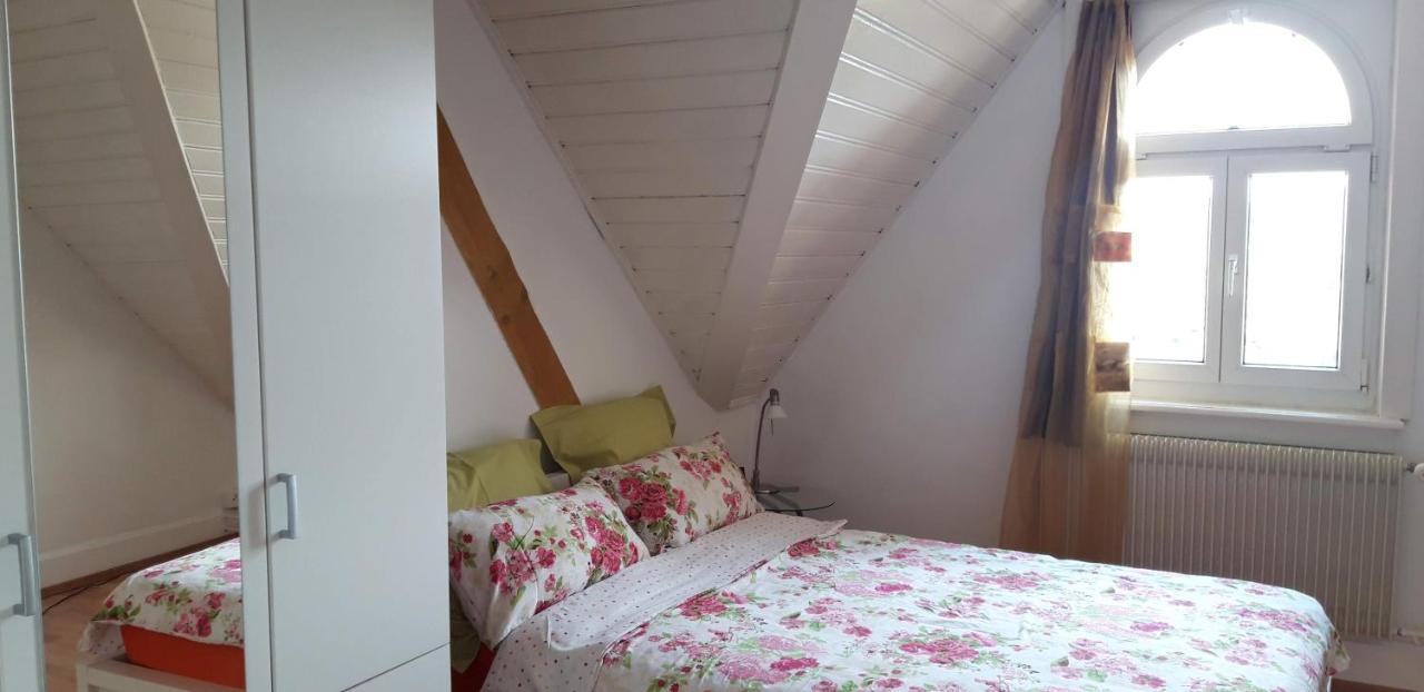 Ferienwohnung Stein Am Rhein Nahe Bahnhof Und Rhein Ngoại thất bức ảnh